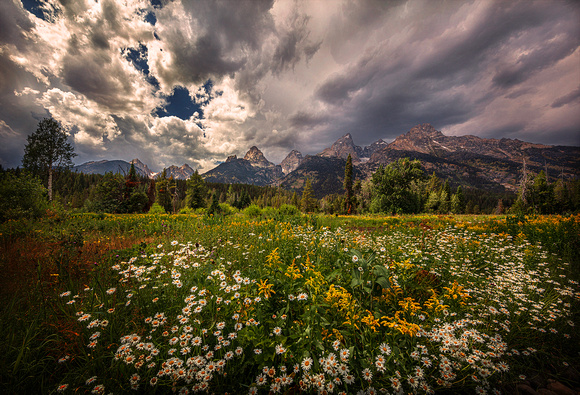Teton Bouquet