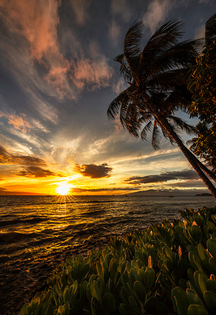 Lahaina Sunset