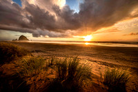 Beachcombing