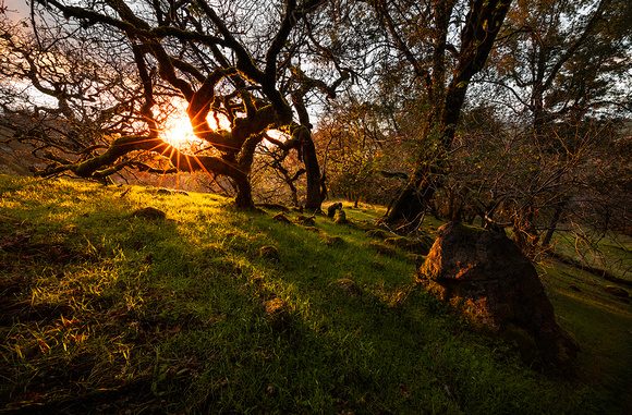 Rays of Light