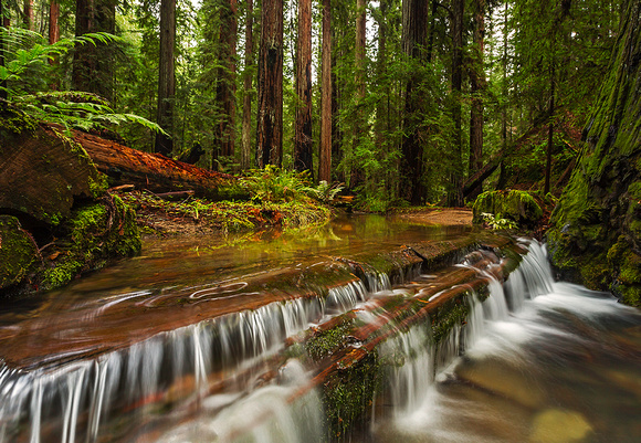 Nature's Escape