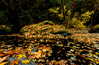 Big River Fall