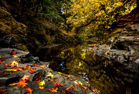 Autumn's Turn