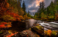 Memories of Fall
