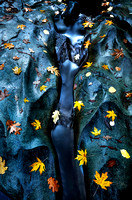 After The Rain